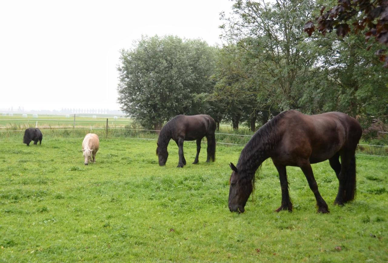Apartment Het Friesche Paard Purmer Exterior foto
