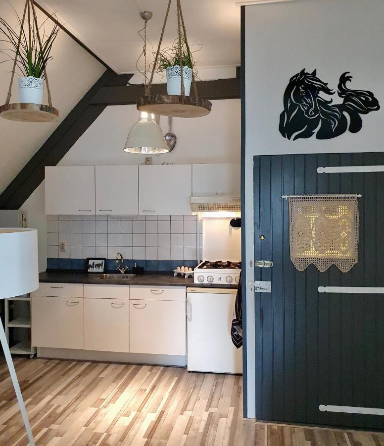 Apartment Het Friesche Paard Purmer Exterior foto